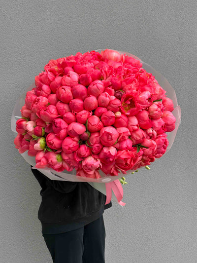 Bukiet piwonii Coral Charm [od 7 szt] kwiaty giftbar.pl 