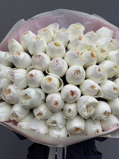 Bukiet róż Aurora [od 9 szt] kwiaty giftbar.pl 